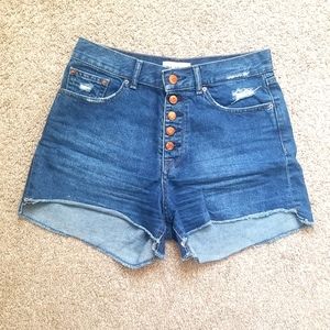 DL 1969 - Apolli High Rise Shorts in the Color Bandwagon